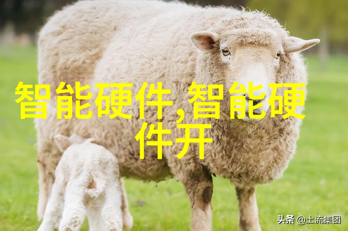厚度标准化了解1.2毫米厚的非磁性304不锈钢板特点