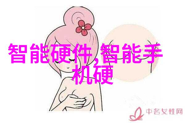 中国芯片被谁耽误了 - 国产芯片梦碎前夕政策资本与技术的错位