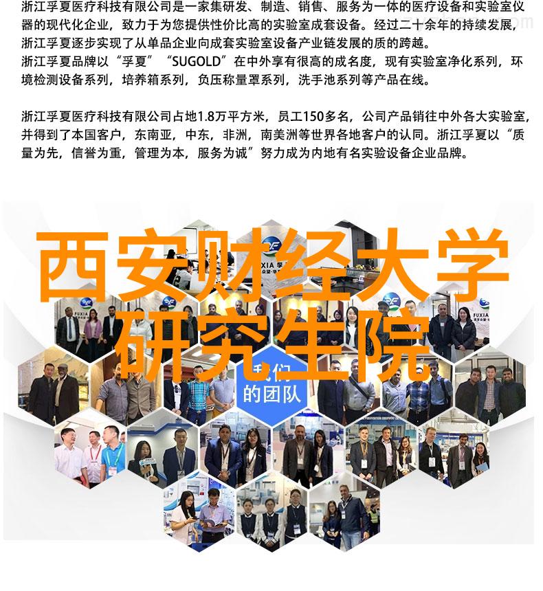 揭秘征信报告信用评分逾期记录与贷款申请的全方位解析