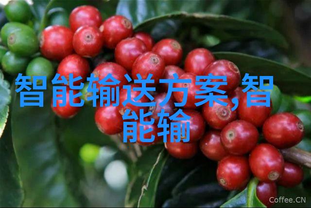 第一财经我眼中的金融风云揭秘股市的那些事儿