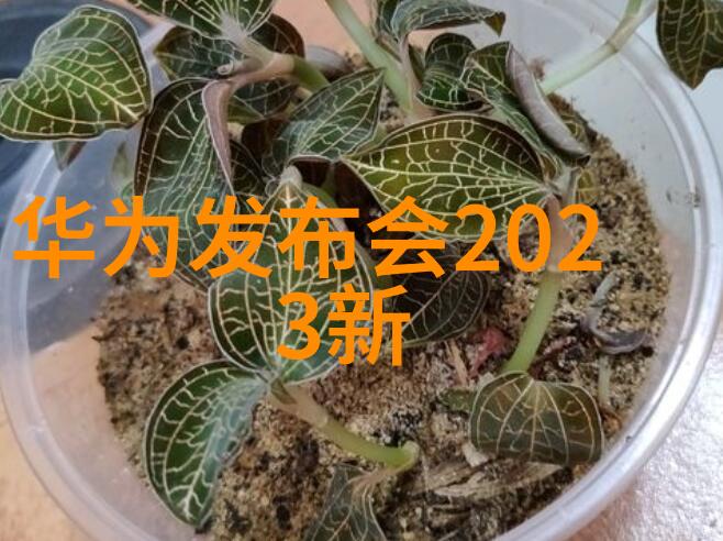 科技热点-三星新品发布会揭秘未来技术的魅力