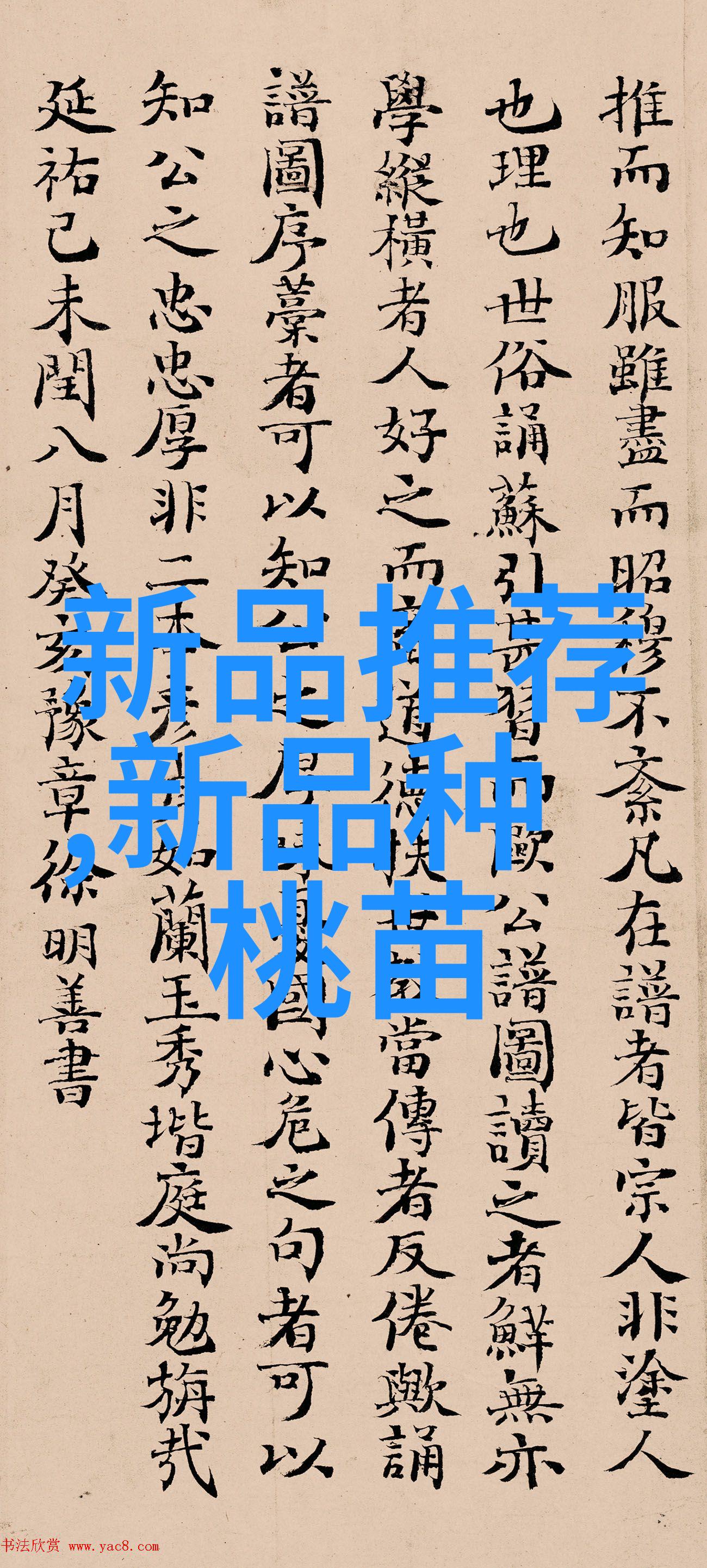 在全球化背景下国家货币政策如何协调与互动