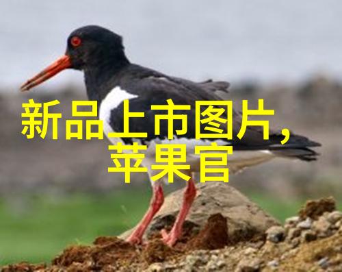 新品推荐我来告诉你这周必须买的5件好货