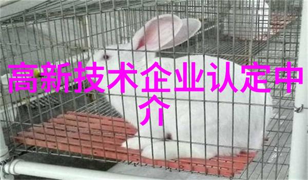 化学守护者密封件的无声英雄