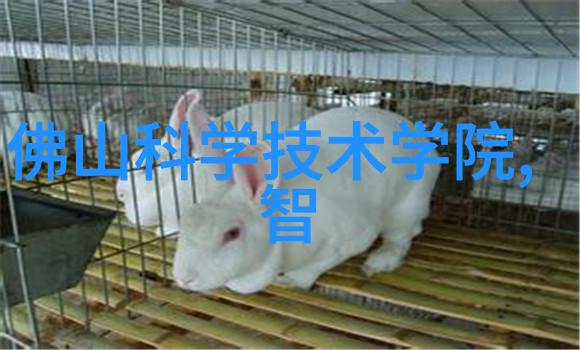 龙物在视频.YW8826