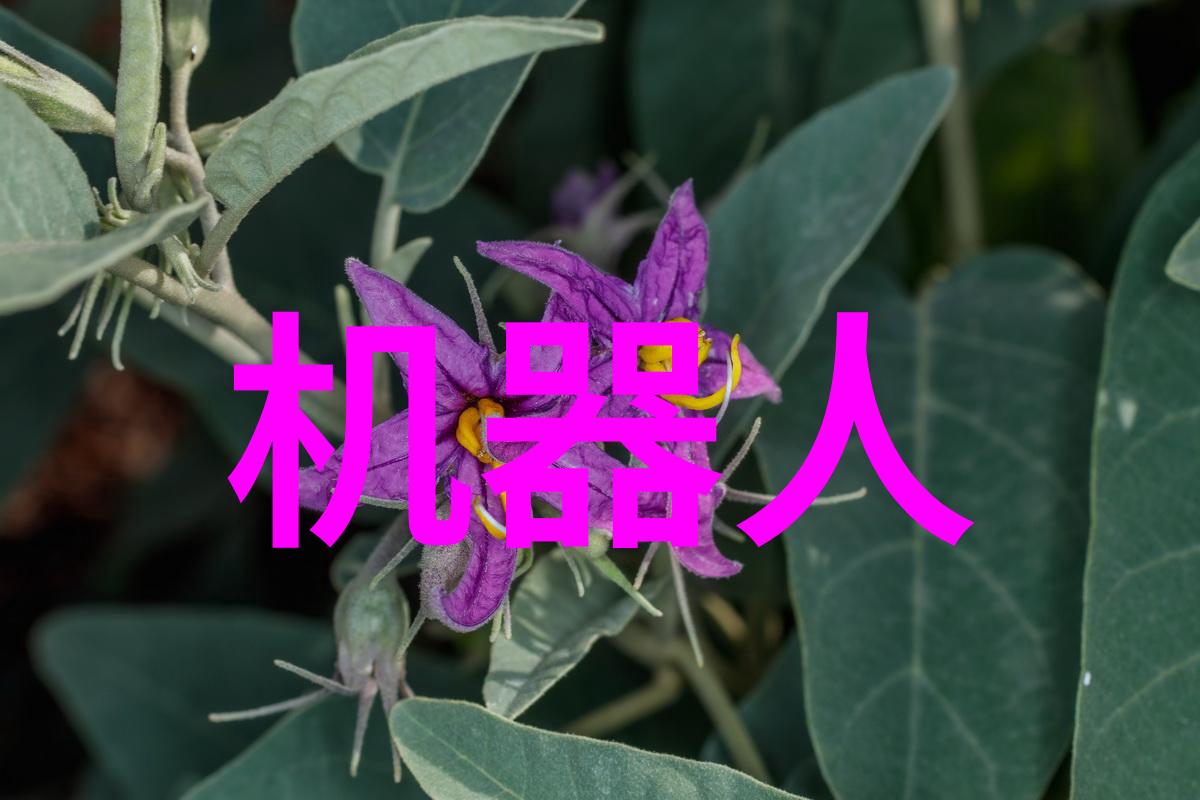 八大智能测试量表探索你的智力星座