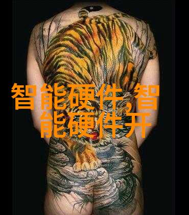 湖南财经工业职业技术学院之谜失落的财富与隐藏的秘密