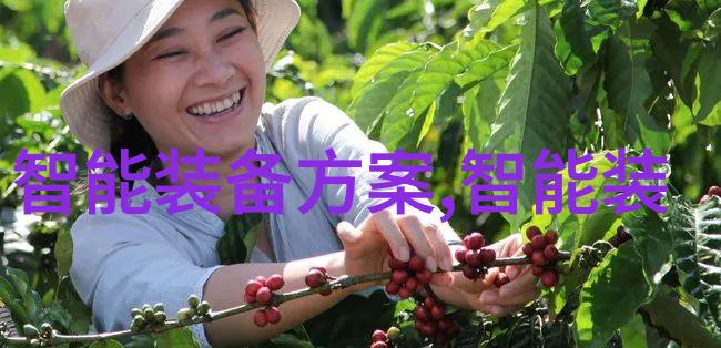 不锈钢矩鞍环填料标准规范确保工业应用的安全与高效