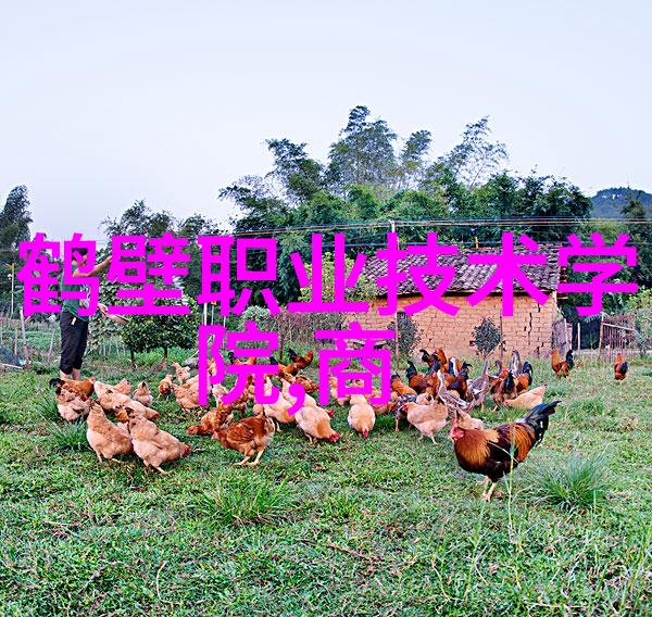 pe管件产品的标准化程度如何各大厂家遵循什么标准生产