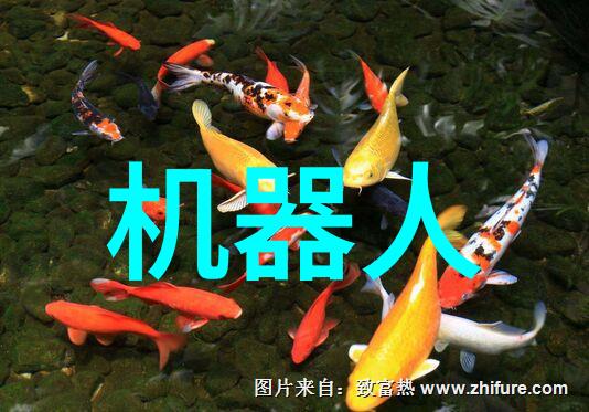 钢铁的脉动锌之韵
