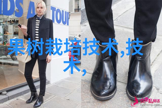 颗粒剂机械生产线高效颗粒剂机械设备