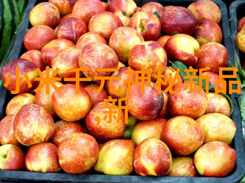科技助力净制新兴技术如何提升食品清洁水平