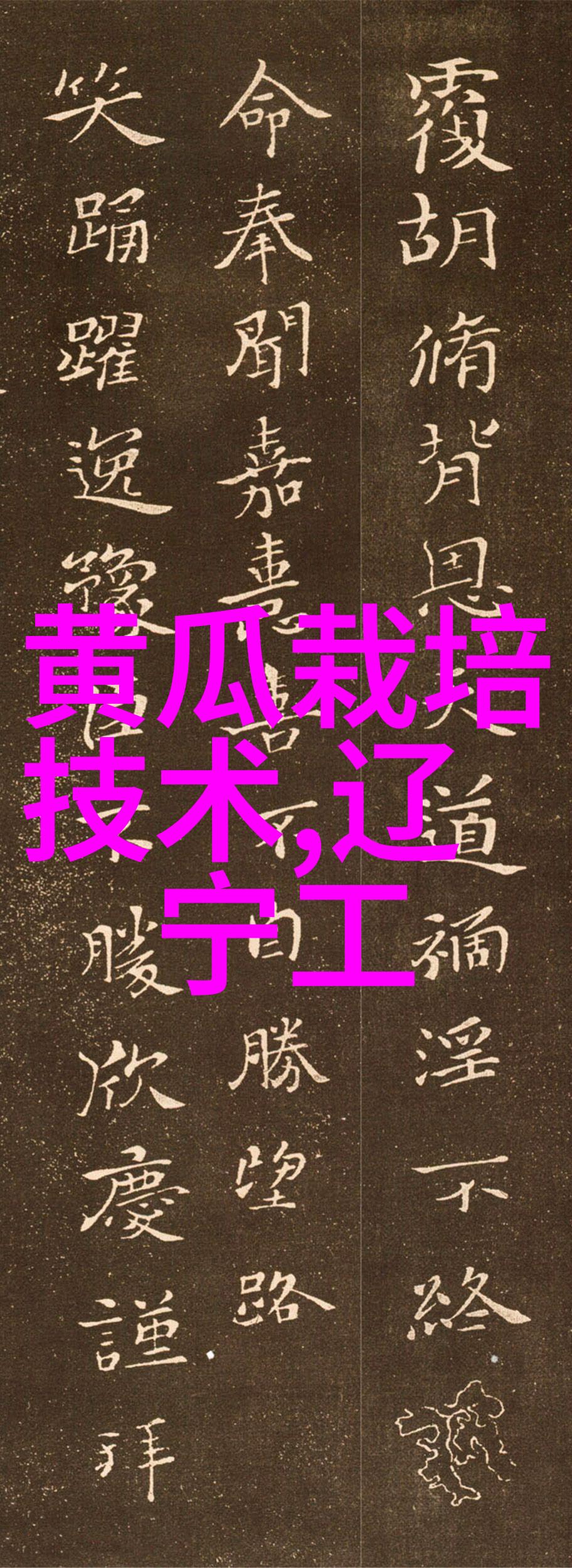 项目可行性研究报告分析一探究竟的秘籍