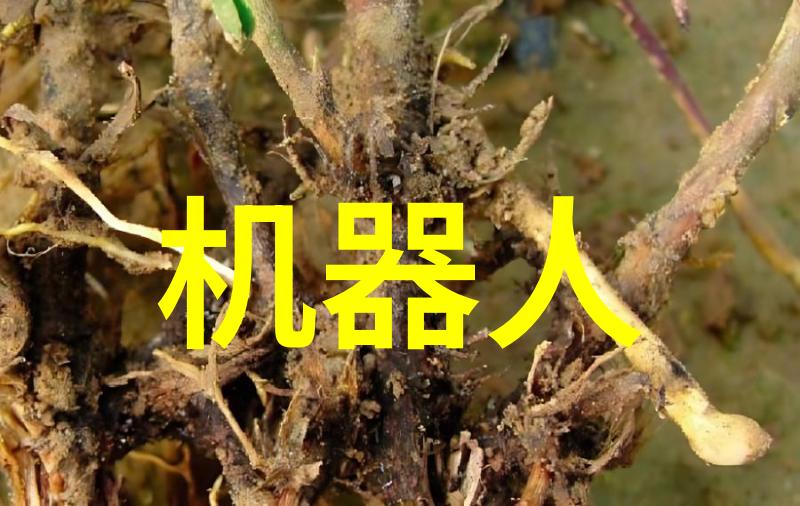 工业用水过滤设备清洁之翼守护生产的翅膀