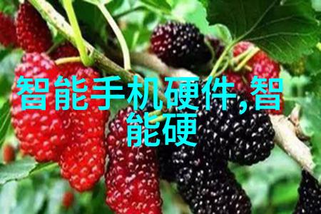 化工胶囊剂机械生产线精密成型与高效包装的双重驱动