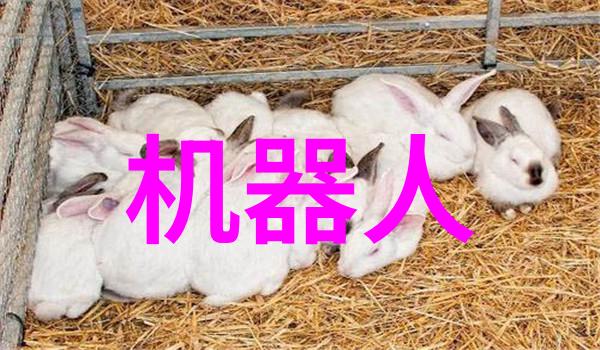 欧美私人家庭影院豪华享受与技术集大成的娱乐空间