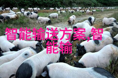 清澈河畔的污染猎手探秘水质检测仪器厂家的双重面纱