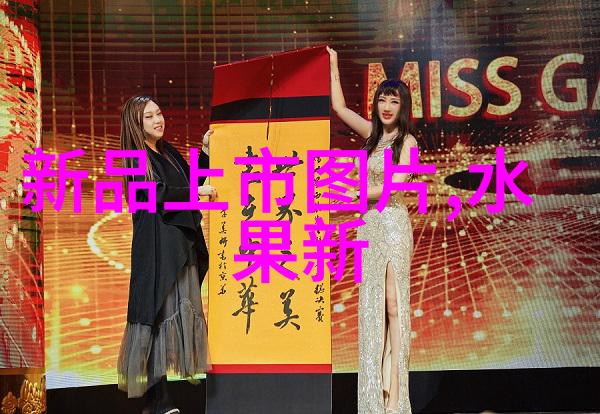 探索申请费用的迷雾揭开背后的真相与隐秘