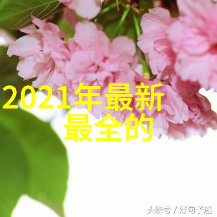 老妇60岁的XX生活我还记得那个冬天我妈妈六十大寿那会儿我们全家都围坐在一起聊着往事