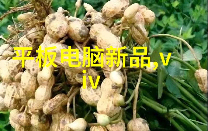 自来水厂净化设备的选择与安装要点