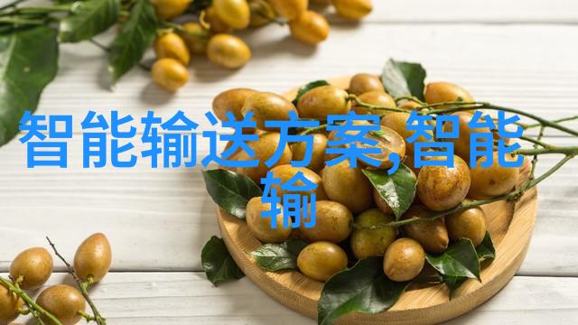 国家保密测评中心的建立与功能研究构建信息安全防线新体系