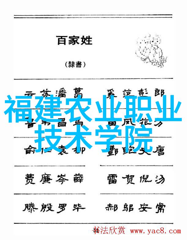 铝塑分离机高效环境友好的金属与塑料材料分离设备