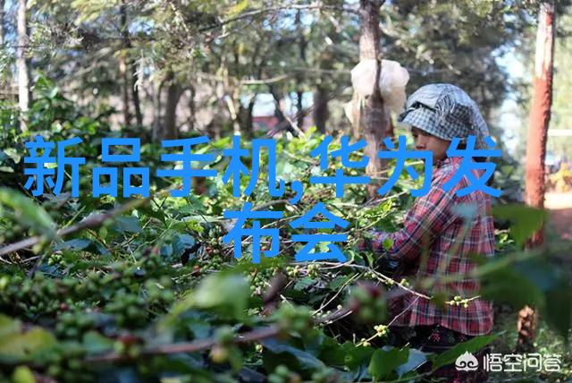 离心萃取器咱们来聊聊它的秘密