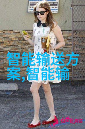 股票市场的神秘力量300795的传奇变迁