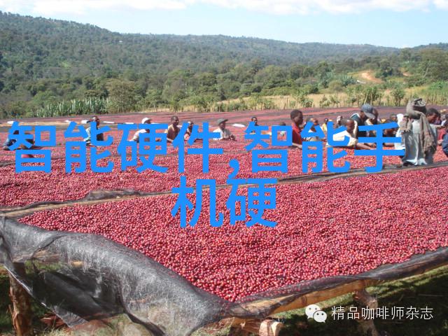 总有一款适合您拥有金属材质手机盘点