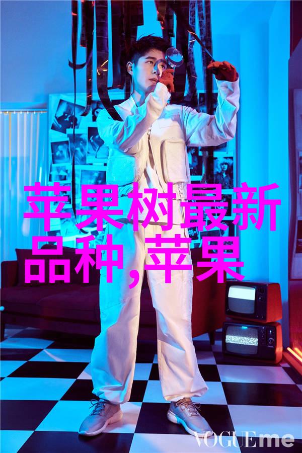 政府工作报告经济发展的蓝图与未来展望