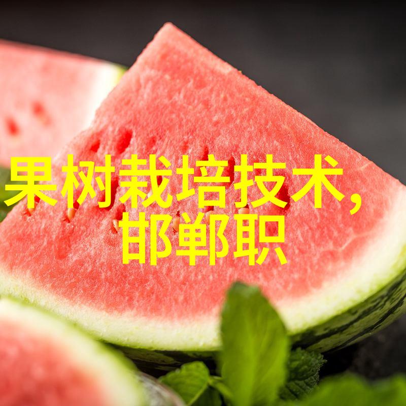 国家信息测评中心研究报告构建智慧决策体系的关键角色与挑战分析