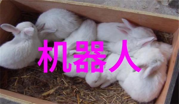蒸汽换热器的工作原理是什么