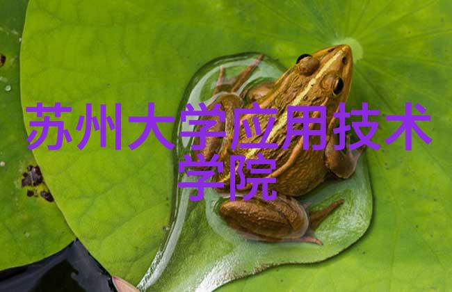他给的实在太多了po-超载的心灵探索无尽馈赠的背后