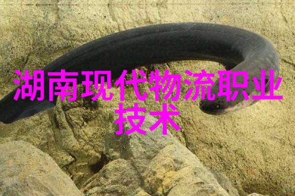 社会调查报告范文3000字(青少年网络成瘾现象的分析与对策)