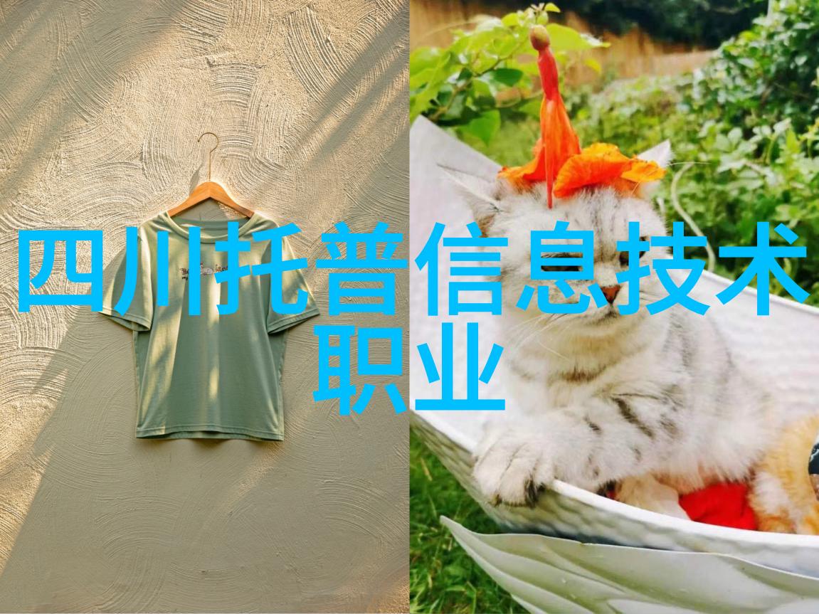 妈妈的朋友四国之旅探索中语免费的乐趣与挑战