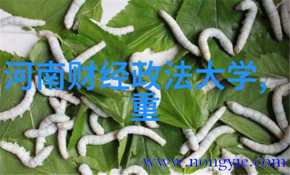 智能化应用革命人工智能与物联网的融合新篇章