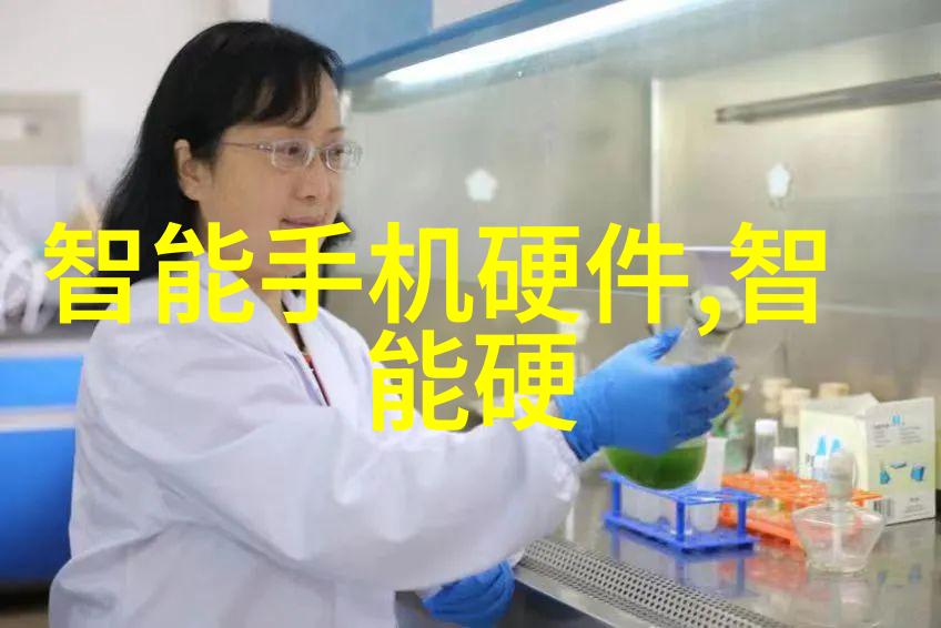 制作和维护电蒸汽发生器需要遵循哪些安全标准