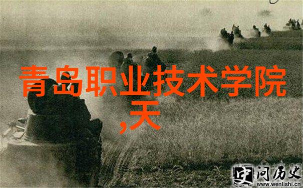 工业管道配件的精选DN50鲍尔环在输送系统中的应用与优势