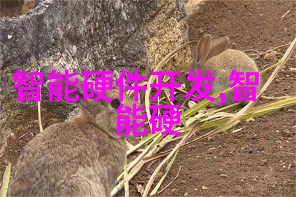 如何编写有效的个人工作总结报告