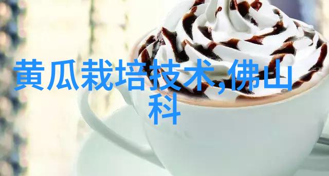 面对拒绝如何从失败中汲取经验教训并再次申请