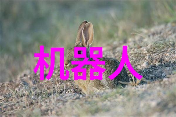 星辰之下海洋的秘密探索星之海洋txt中的奇迹
