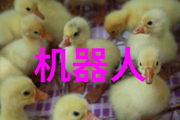通道式自动喷淋消毒系统的应用与优势分析