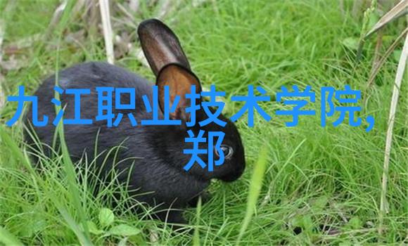 净化蓝图揭秘废气处理的智慧之道