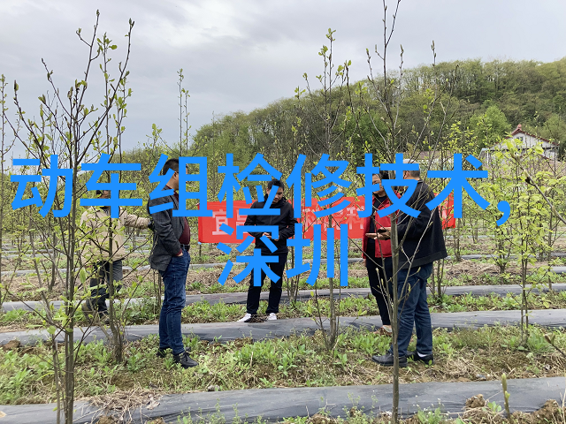 如何在天津交通智能查询网上获取实时路况信息