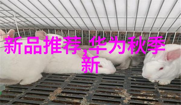 北京保测评公司七彩虹战斧RTX 4070 SUPER豪华版12G首发评测性价比双丰收