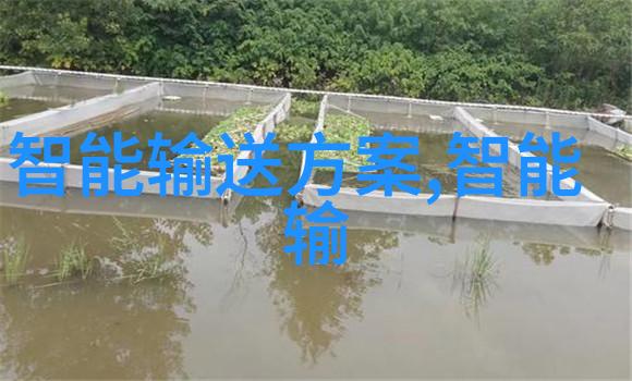 全国核酸检测大动作背后隐含着哪些深层次的政治考量和公共卫生策略