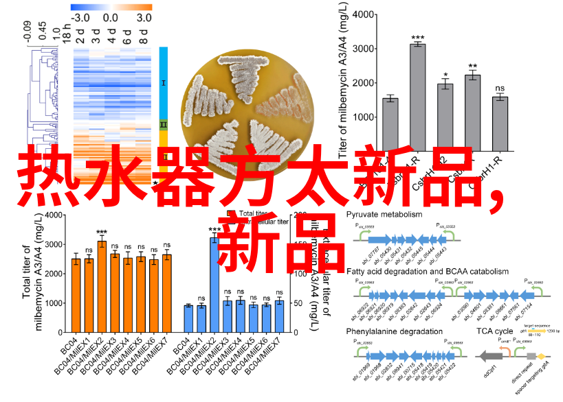 微波真空干燥技术高效环保的物料处理新趋势