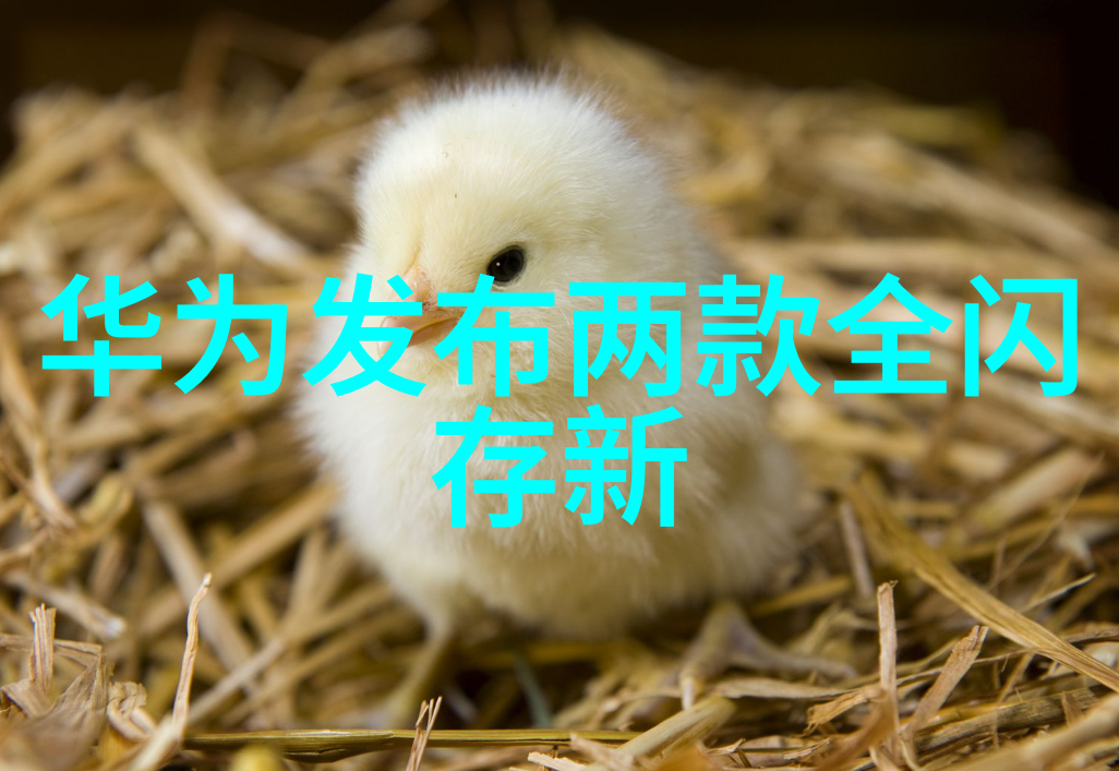如何利用大数据分析优化智能交通监控系统的决策支持能力