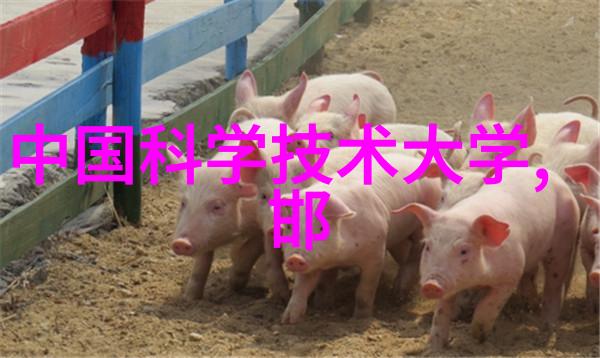 硬件基础深入探究半导体与芯片的本质区别