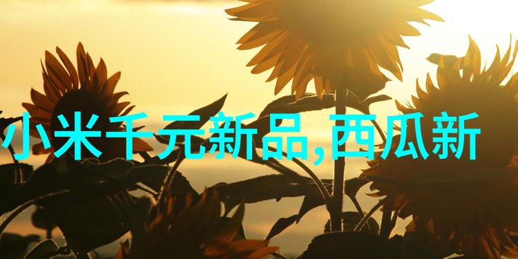 DN50鲍尔环的选择与安装确保管道系统的安全与效率